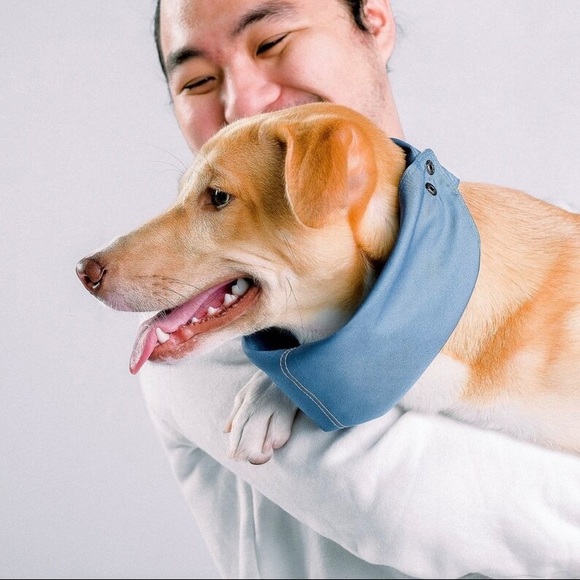 Single Fold Bandana - Picture 8 of 10